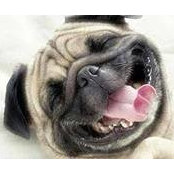 Tracy Lynn Shaw's photo