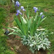 Deborah Shebester's photo