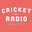 Cricket Radio Interiors