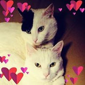 Megumi Fukutomi's photo