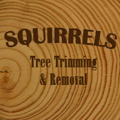 Squirrel's Tree Service