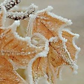 Susan Casarella Balsamo's photo
