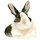 webuser_8139393
