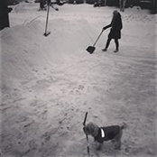 Foto de Tim Orpin