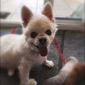 Mike Kuznik's photo