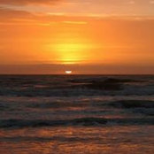 Willie King's photo