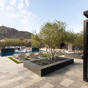 Desert Oasis