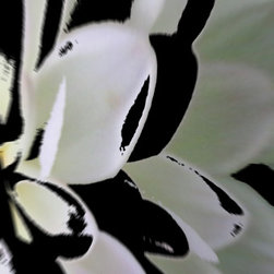 Flora Deconstructed - Products