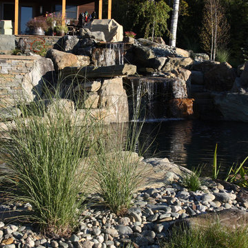 Natural Pool