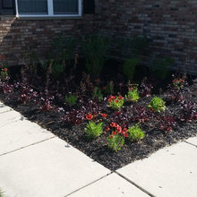 Annual Planting