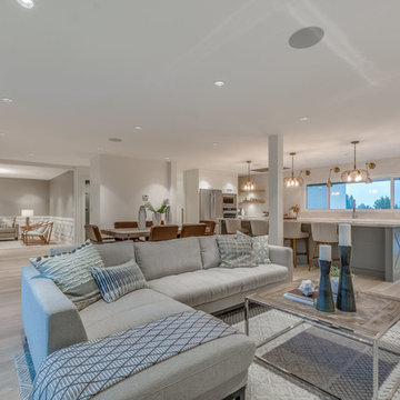 Family Room - Midcentury