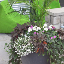 pot design