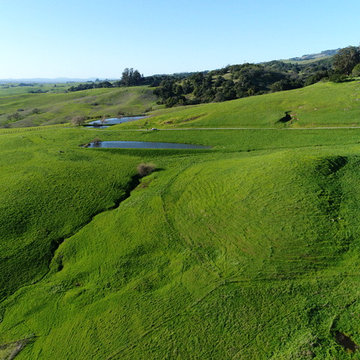 Undeveloped Land, Sonoma County