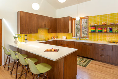 Mid-century modern kitchen photo in Detroit