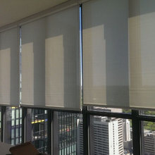 roller shades