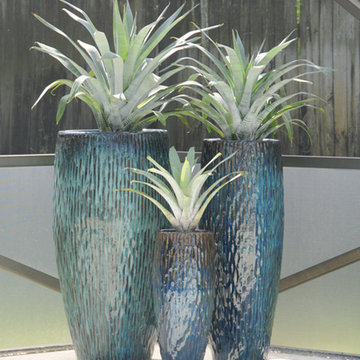 Palm Beach Container Gardens