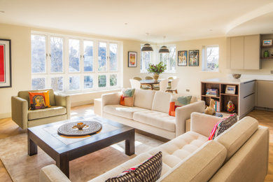 This is an example of a contemporary living room in Other.