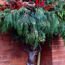 HOLIDAY DECOR