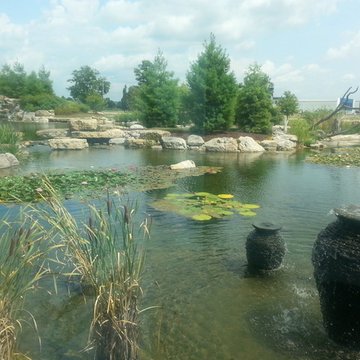 Ecosystem Ponds, Water Garden Ideas for Your Austin, Central Texas Landscape