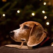 Ted Fristrom's photo