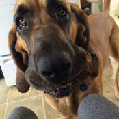 alyssa ballestero's photo