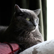 Pascale's photo