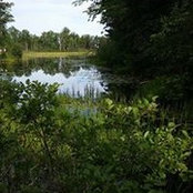 Paula Moore's photo