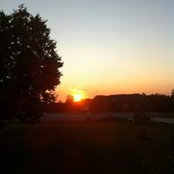 Marie Krieg's photo