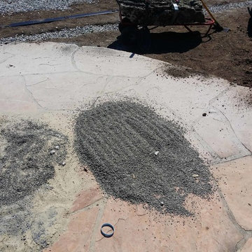 Zen Garden