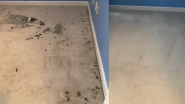 Tile & Grout Cleaning  Zerorez Carpet Cleaning Columbia SC