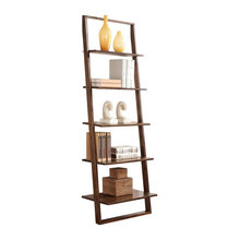 Giraffe Shelves