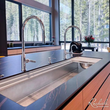 The True Story Behind the Original Luxury Workstation Sink
