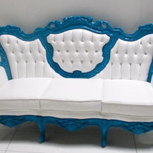 parabsillon negro