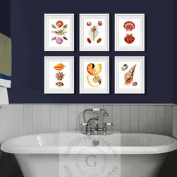 Seashells wall art for beach themed home decor - Products