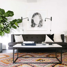 Indoor Plants