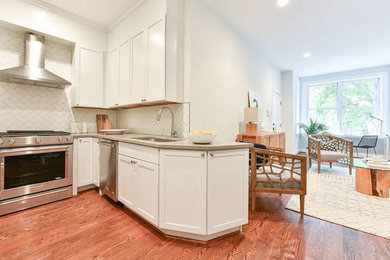 Kitchen - contemporary kitchen idea in DC Metro