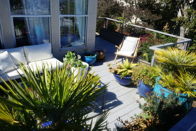 Ejemplo de terraza contemporánea de tamaño medio sin cubierta en azotea con jardín de macetas