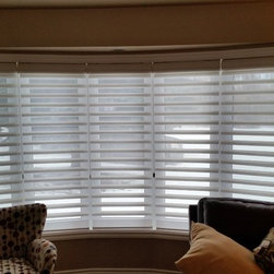 Hunter Douglas Pirouette - Roman Shades