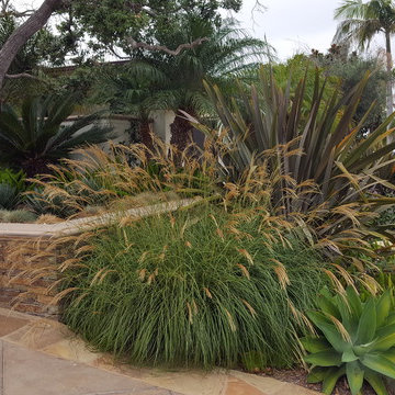 Agave Garden