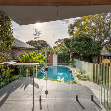 Totoro’s Pool — Circular Elegance
