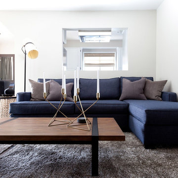 Modern Living Room