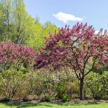 Country Fruit Tree Pruning