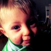 Patrick Rezmovits's photo