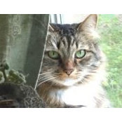 Becky Demeny's photo