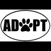 Shane Nelson's photo