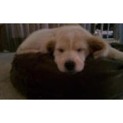 Cindy Cimino's photo