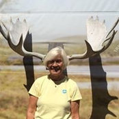 Denise Bond's photo