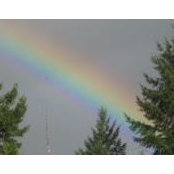Lorraine Staples's photo