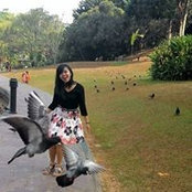Foto von Pundarika Lestari