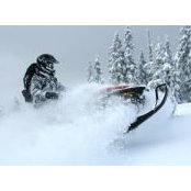 Craig Tilley's photo